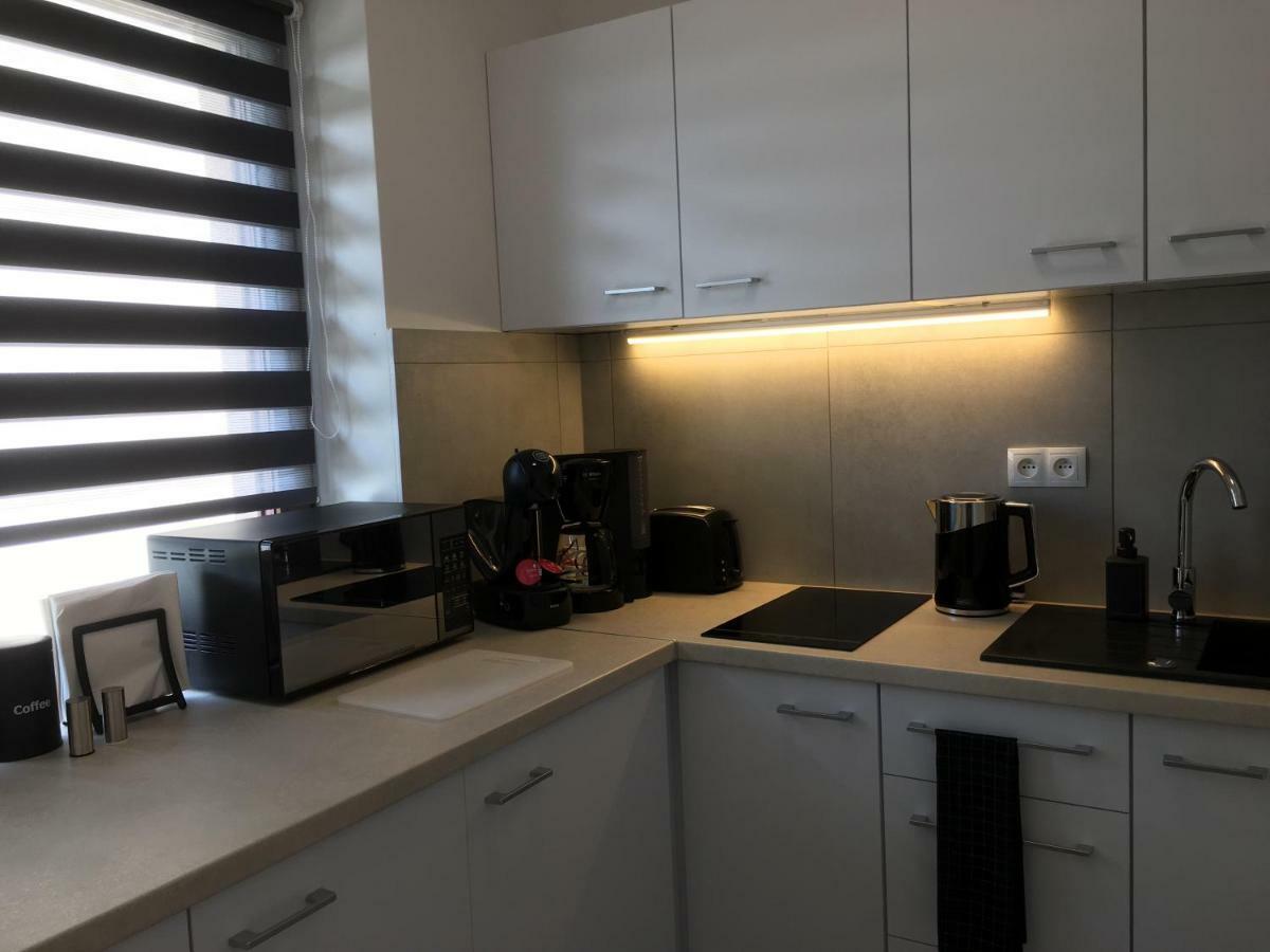 Apartmán Studio Fibra Lungo Rybnik  Exteriér fotografie