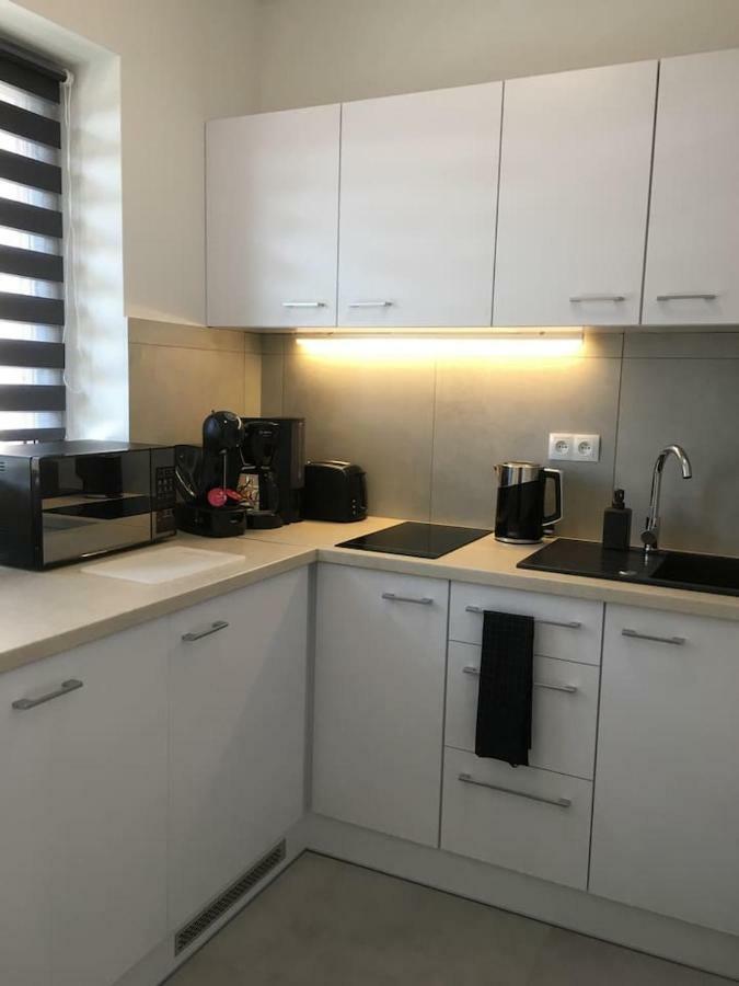 Apartmán Studio Fibra Lungo Rybnik  Exteriér fotografie